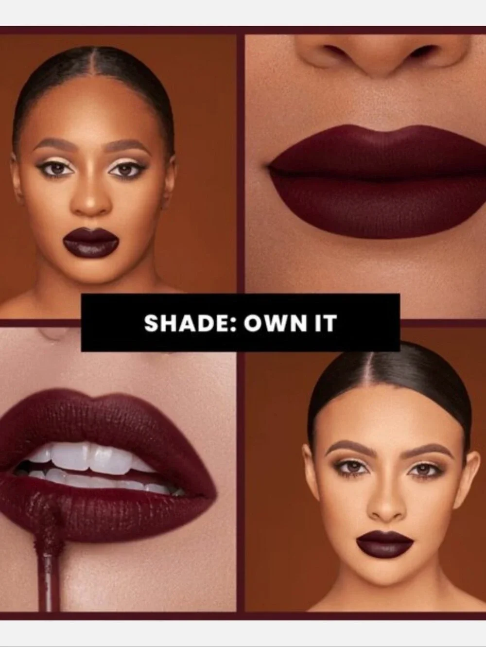 Ace Beauté Pout Perfect Liquid Lipstick (Own It)